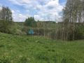 Działka Skorzewo 4,62 ha - zdjęcie 3