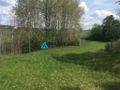 Działka Skorzewo 4,62 ha - zdjęcie 1