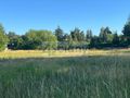 Działka budowlana 1193&nbsp;m², Stefanowo - zdjęcie 6