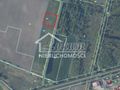 Działka rolna 3100&nbsp;m², Kobylanka - zdjęcie 2