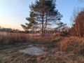 Działka budowlana 1200&nbsp;m², Żelechów - zdjęcie 1
