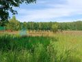 1,5 hektara z wydanym planem zagospodarowania - zdjęcie 5