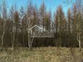 Działka rolna 903&nbsp;m², Błotno - zdjęcie 3
