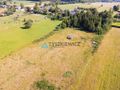 Dąbrowa Brzezieńska gm. Łęczyce działka 3000m2 - zdjęcie 4