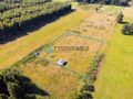 Dąbrowa Brzezieńska gm. Łęczyce działka 3000m2 - zdjęcie 2