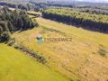 Dąbrowa Brzezieńska gm. Łęczyce działka 3000m2 - zdjęcie 3