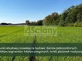 Działka budowlana 2,49&nbsp;ha, Młochów - zdjęcie 1