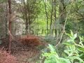 Działka budowlana 1000&nbsp;m², Stara Wieś - zdjęcie 1