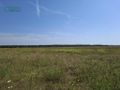 Działka inwestycyjna 47,06 ha, Gierałtowice, Kłodnicka - zdjęcie 6