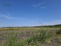 Działka inwestycyjna 47,06 ha, Gierałtowice, Kłodnicka - zdjęcie 5