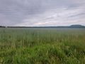 Działka inwestycyjna 9145&nbsp;m², Suszec, Woszczycka - zdjęcie 3