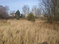Działka inwestycyjna 6520 m², Rybnik, Bolesława Śmiałego - zdjęcie 5