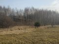 Działka inwestycyjna 6520 m², Rybnik, Bolesława Śmiałego - zdjęcie 4