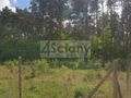 Działka rolna 2000 m², Strzeniówka - zdjęcie 1