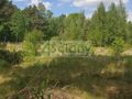 Działka rolna 2000 m², Strzeniówka - zdjęcie 2