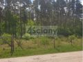 Działka rolna 2000 m², Strzeniówka - zdjęcie 3