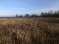 Działka inwestycyjna 2,80 ha, Bytom, Węglowa - zdjęcie 3