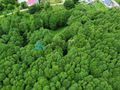 Atrakcyjna działka rolna w malowniczej okolicy - zdjęcie 2