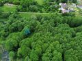 Atrakcyjna działka rolna w malowniczej okolicy - zdjęcie 6