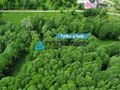 Atrakcyjna działka rolna w malowniczej okolicy - zdjęcie 1