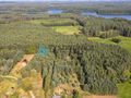 Działka rolna położona w sercu natury -Osiek - zdjęcie 5