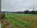 Działka inwestycyjna 15,87&nbsp;ha, Ruda Śląska, im. Władysława Jagiełły - zdjęcie 4