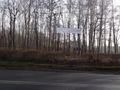 Działka inwestycyjna 2,96&nbsp;ha, Ruda Śląska, Niedurnego - zdjęcie 2