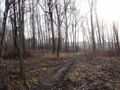 Działka inwestycyjna 2,96&nbsp;ha, Ruda Śląska, Niedurnego - zdjęcie 3