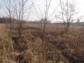 Działka inwestycyjna 14,84&nbsp;ha, Ruda Śląska, Tunkla - zdjęcie 4