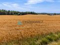 Działka usługowo-przemysłowa w Kościerzynie - zdjęcie 3