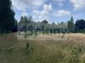 Działka budowlana 1435&nbsp;m², Zalesie - zdjęcie 3