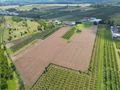 Działka rolna 1,48 ha, Marianka, 1 Maja - zdjęcie 5