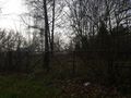 Działka inwestycyjna 1,04 ha, Brzeszcze, Siedliska - zdjęcie 2