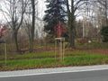 Działka inwestycyjna 1,04 ha, Brzeszcze, Siedliska - zdjęcie 4