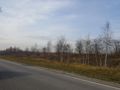 Działka inwestycyjna 10,99 ha, Brzeszcze, Św. Wojciecha - zdjęcie 6