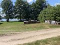 Działka rolna 1,30&nbsp;ha, Swornegacie, Kamionka - zdjęcie 5