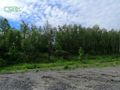 Działka inwestycyjna 15,47&nbsp;ha, Zabrze, Ziemska - zdjęcie 4