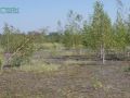 Działka inwestycyjna 15,77&nbsp;ha, Zabrze, Lubuska - zdjęcie 4