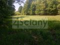 Działka budowlana 2461 m², Chrzanów Mały - zdjęcie 1