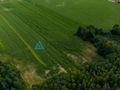 Działka Rolna- 2.0311 ha- Lisewo, gmina Przechlewo - zdjęcie 6