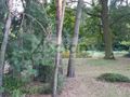 Działka budowlana 2355&nbsp;m², Milanówek - zdjęcie 2