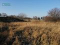 Działka inwestycyjna 6,01 ha, Gaszowice, Górnicza - zdjęcie 3