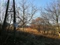 Działka inwestycyjna 6,01 ha, Gaszowice, Górnicza - zdjęcie 2