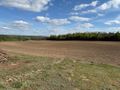 Działka budowlana 1149 m², Borzestowo - zdjęcie 5