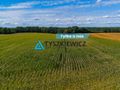 Działka Rolna- 2.0311 ha- Lisewo, gmina Przechlewo - zdjęcie 1