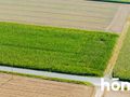 Działka budowlana 7100&nbsp;m², Oleśnica - zdjęcie 5