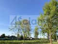 Działka budowlana 1196&nbsp;m², Kozery Nowe - zdjęcie 1