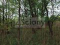Działka budowlana 999&nbsp;m², Stanisławów Drugi - zdjęcie 1