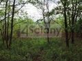 Działka budowlana 1274&nbsp;m², Stanisławów Drugi - zdjęcie 1