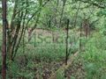 Działka budowlana 1274&nbsp;m², Stanisławów Drugi - zdjęcie 2